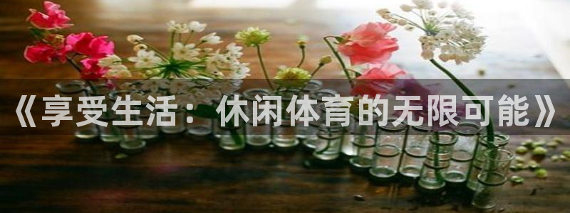 凯发官方正版app科技：《享受生活：休闲体育的无限可
