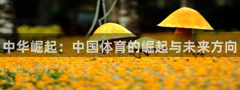 凯发官网下载娱乐：中华崛起：中国体育的崛起与未来方向