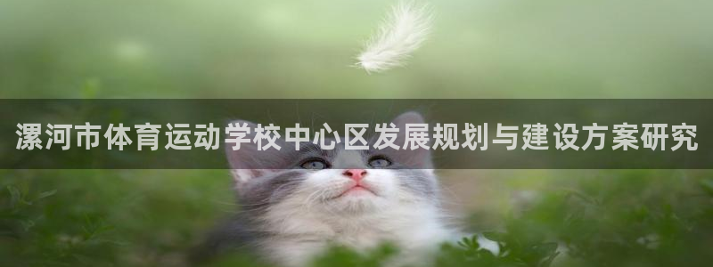 凯发官网下载招商电话地址查询：漯河市体育运动学校中心