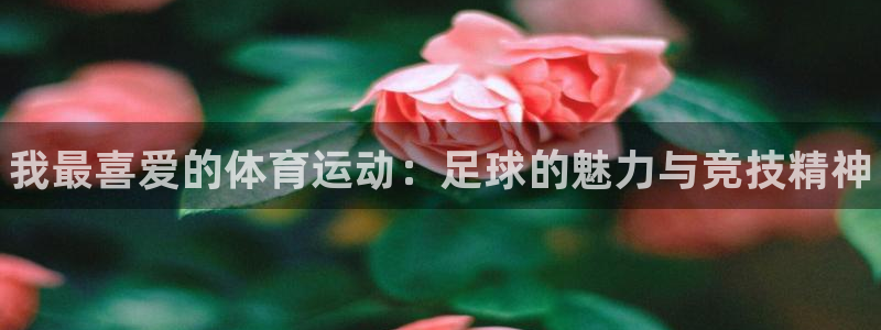 凯发官方正版app官方：我最喜爱的体育运动：足球的魅