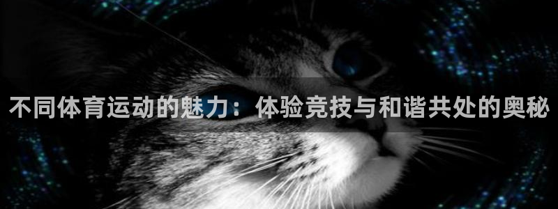 凯发官网下载平台注册要钱吗安全吗：不同体育运动的魅力