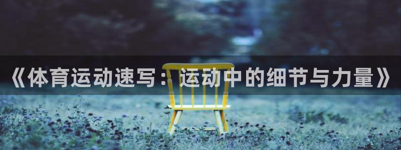 凯发官网下载招商电话号码是多少啊：《体育运动速写：运