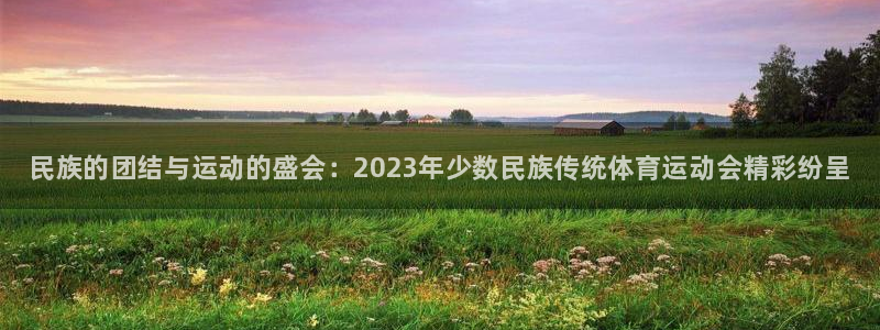 凯发官网下载平台是正规平台吗：民族的团结与运动的盛会