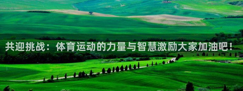 凯发官网下载开户：共迎挑战：体育运动的力量与智慧激励