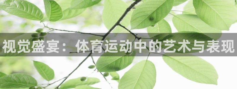 凯发官网下载招商电话号码是多少啊
