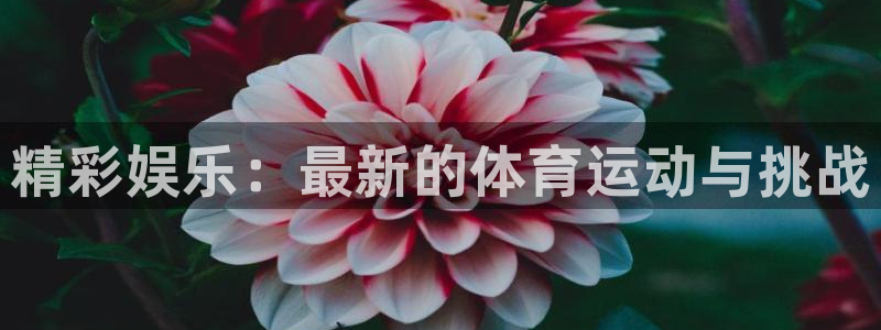 凯发官方正版app集团官网网址