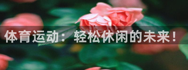 凯发官方正版app新能源：体育运动：轻松休闲的未来！