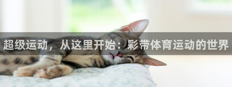 凯发官网下载招商电话是多少