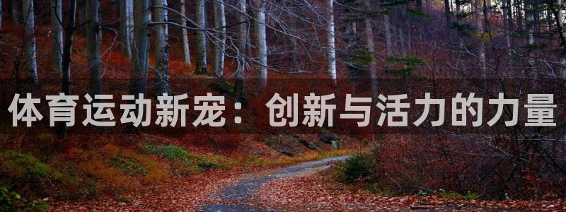 凯发官网下载平台注册流程视频：体育运动新宠：创新与活力的力量