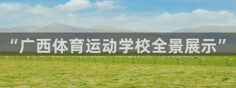 凯发官网下载注册：“广西体育运动学校全景展示”