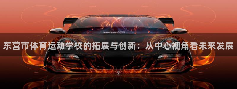 凯发官网下载是干嘛的公司：东营市体育运动学校的拓展与