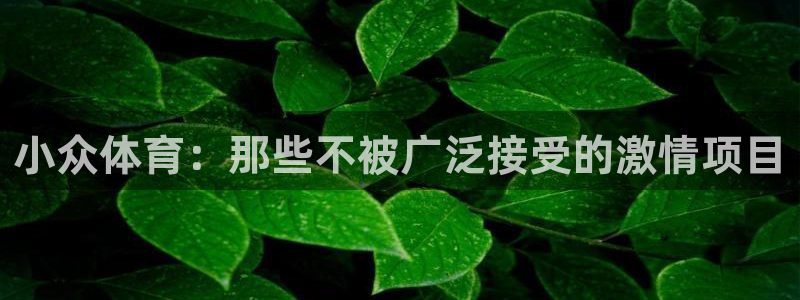 凯发官方正版app官网：小众体育：那些不被广泛接受的激情项目