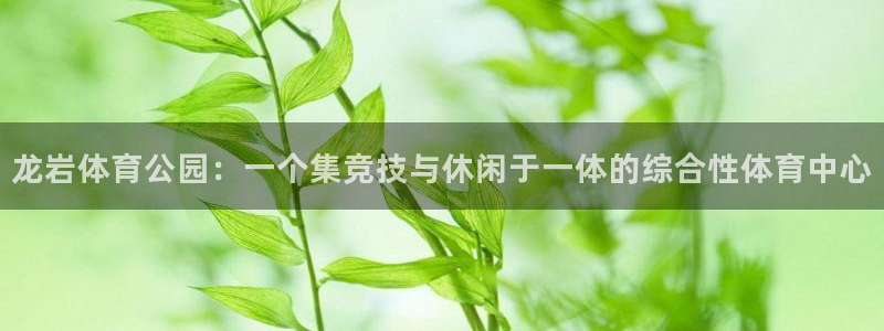 凯发官网下载平台注册要钱吗是真的吗：龙岩体育公园：一