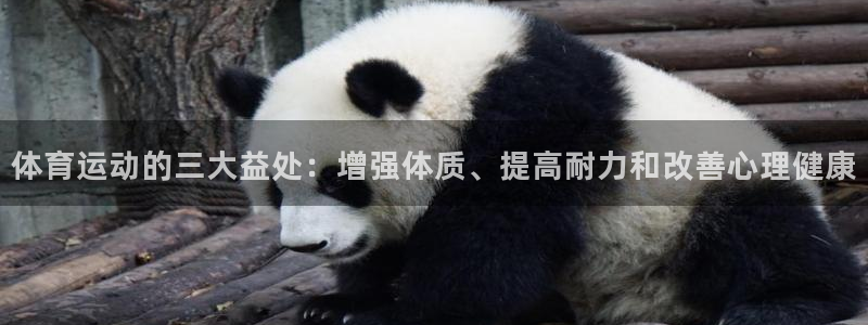 凯发官网下载联系电话：体育运动的三大益处：增强体质、提高耐力
