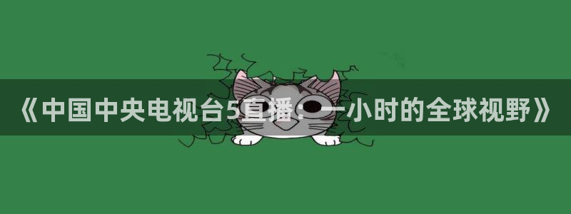 178足球直播免费：《中国中央电视台5直播：一小时的全球视野》