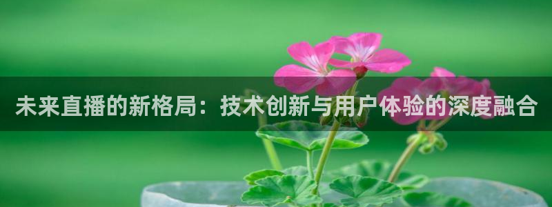 足球直播178高清直播免费：未来直播的新格局：技术创新与用户体验的深度融合
